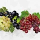 Is Eating Grapes at Night Good or Bad? Know the Benefits, Drawback and Grape Snacks